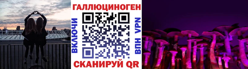 Псилоцибиновые грибы Psilocybe  Купить закладки  Энгельс 